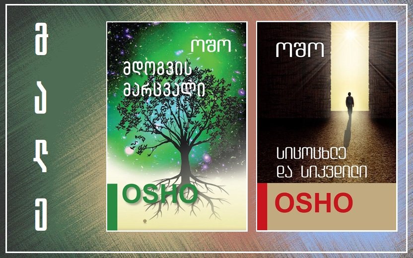 e55c132d84a3a02d1070e944fa6461ce (1)